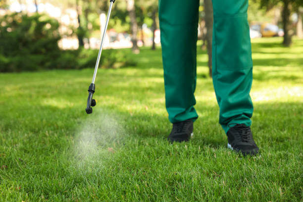 Reliable Irrigon, OR Pest Control Solutions